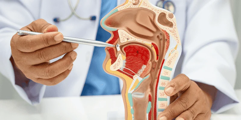 Choosing the Right Bone Grafting Procedure